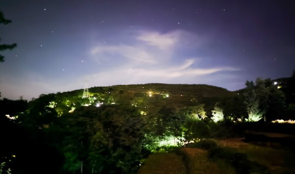 第一证券 四川会东现“抓金蝉”热：75元一斤现场交易，有的全家出动月入上万元